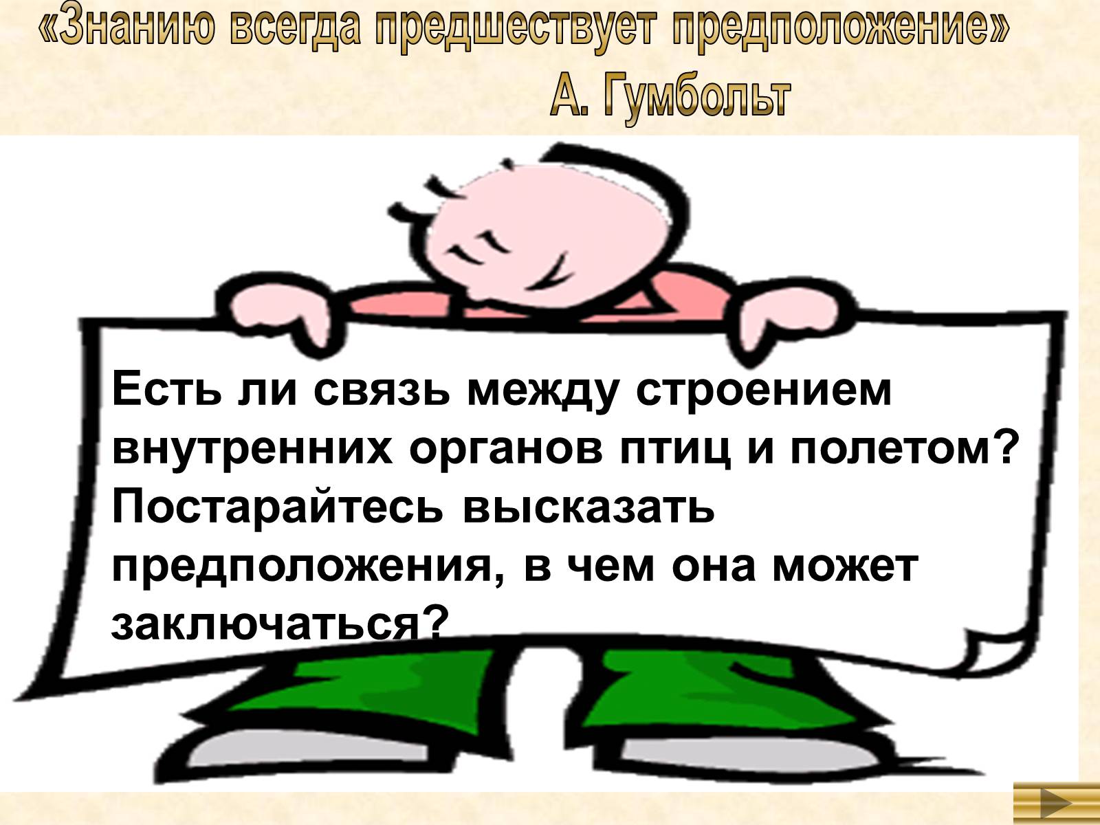 Презентація на тему «Особенности внутреннего строенияптиц в связи с полетом» - Слайд #3