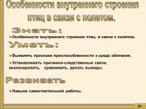 Презентація на тему «Особенности внутреннего строенияптиц в связи с полетом»