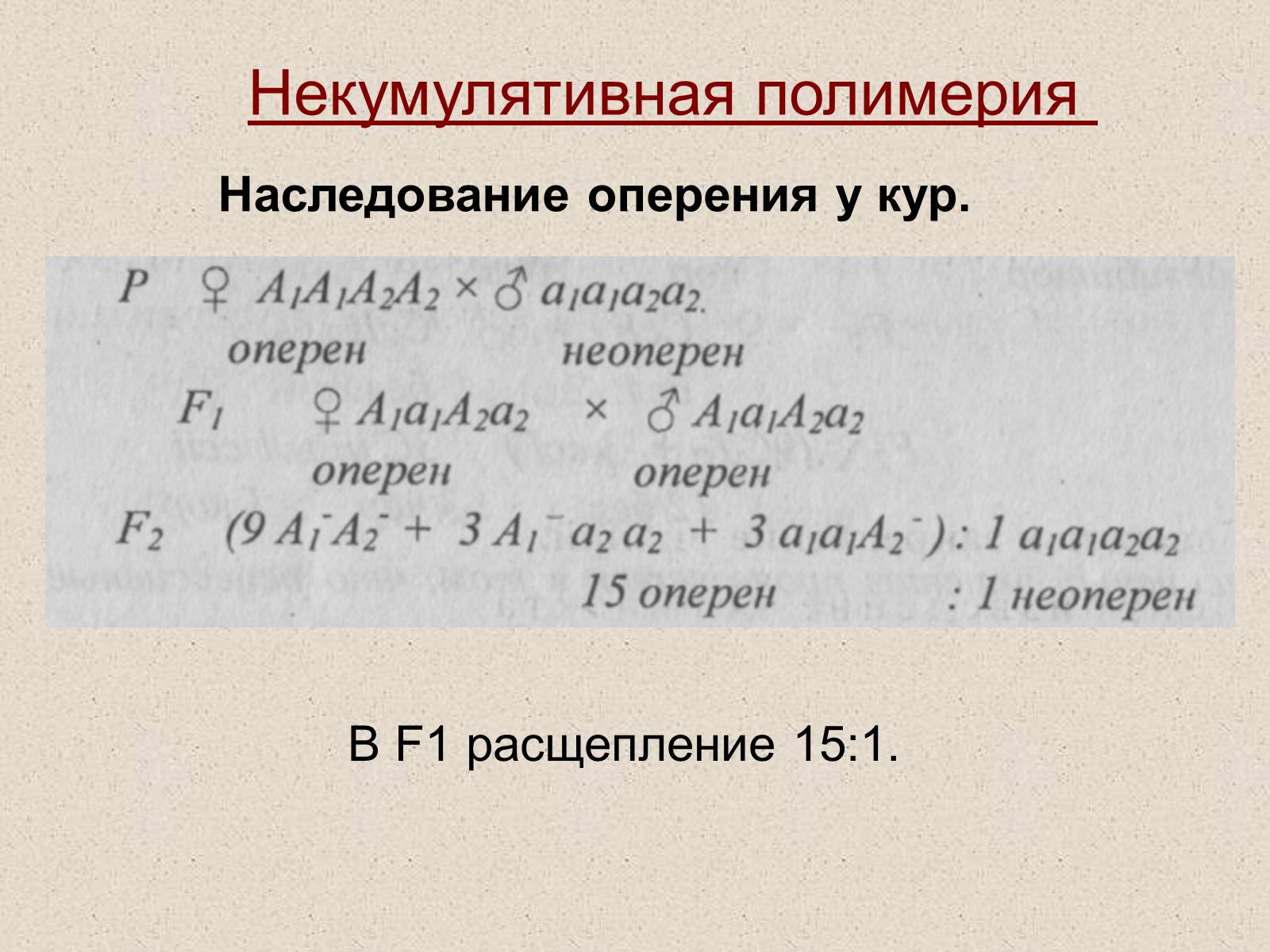 Презентація на тему «Взаимодействие неаллельных генов» - Слайд #12