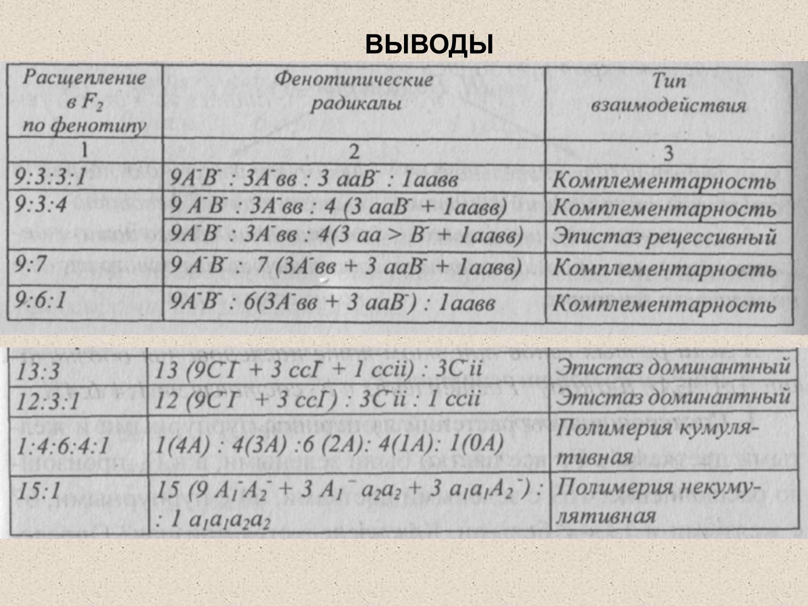 Презентація на тему «Взаимодействие неаллельных генов» - Слайд #13