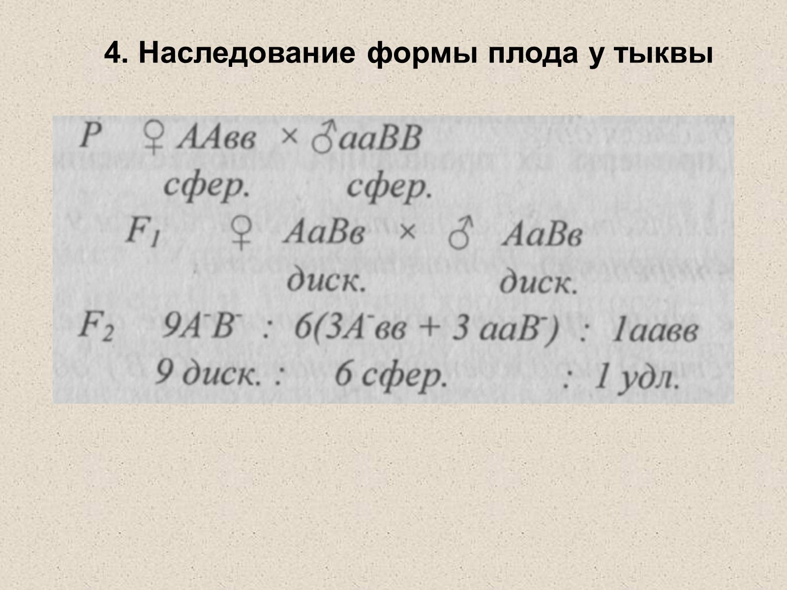 Презентація на тему «Взаимодействие неаллельных генов» - Слайд #5