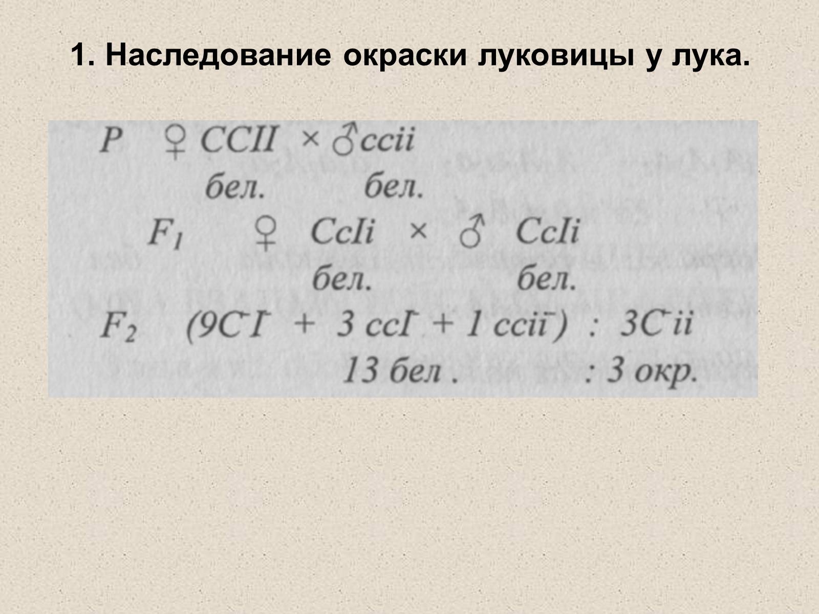 Презентація на тему «Взаимодействие неаллельных генов» - Слайд #8