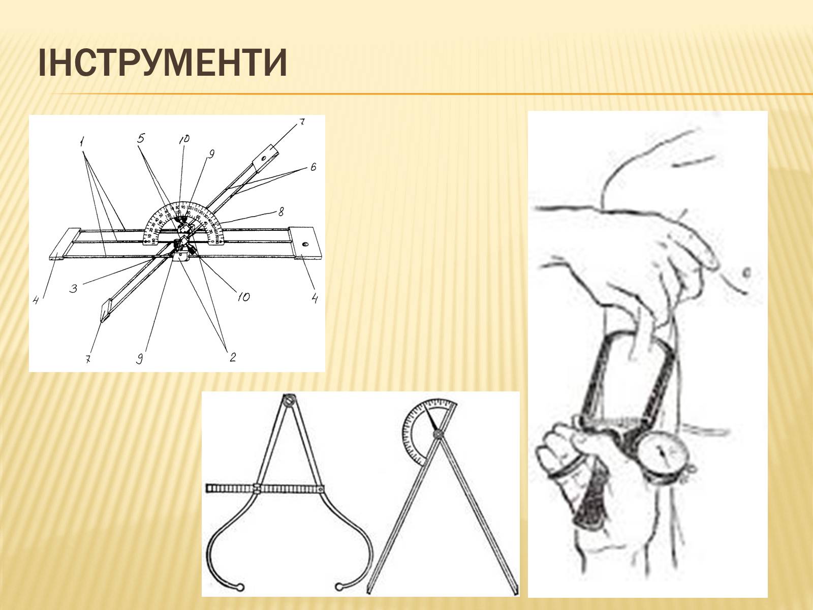 Презентація на тему «Анторопометрія» - Слайд #3