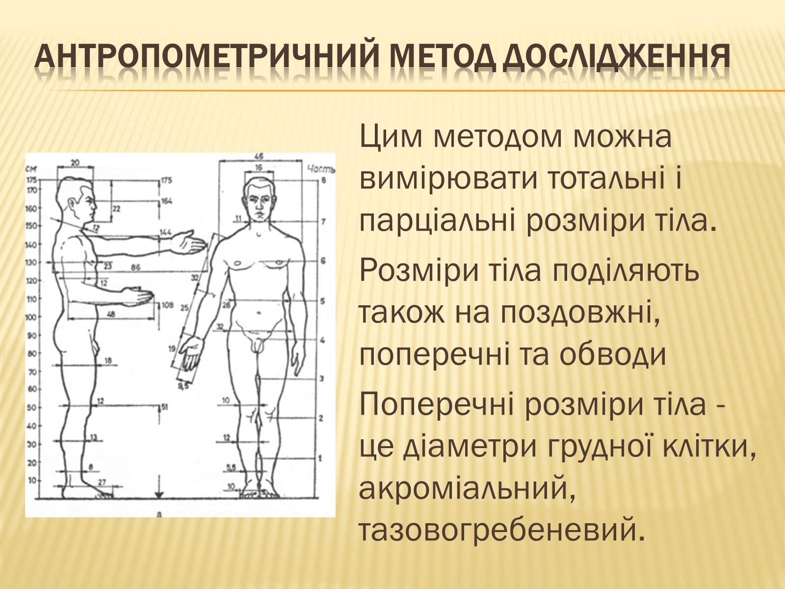 Презентація на тему «Анторопометрія» - Слайд #9