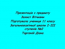 Презентація на тему «Опіки» (варіант 7)