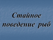 Презентація на тему «Стайное поведение рыб»