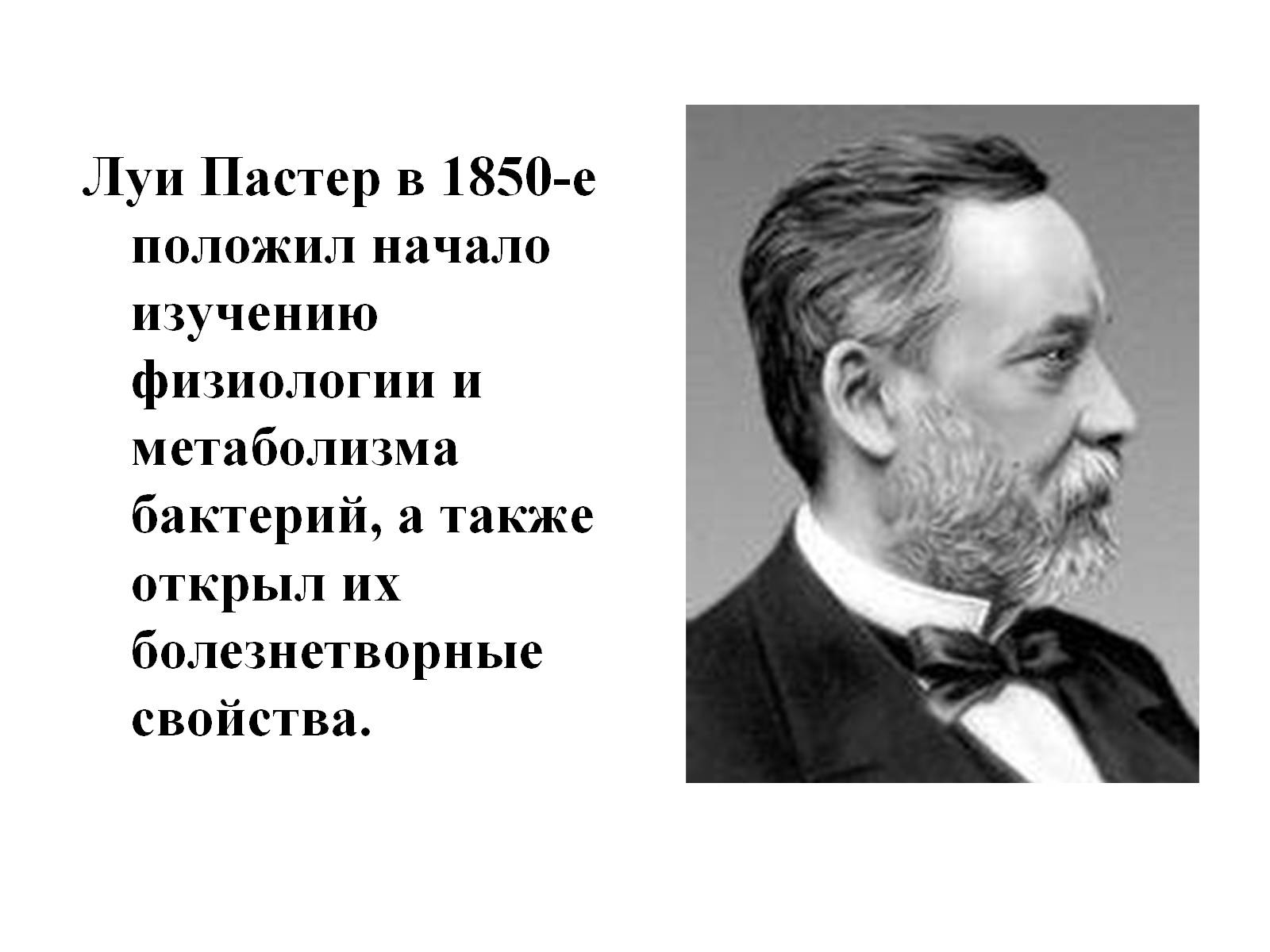 Презентація на тему «Бактерии» - Слайд #10