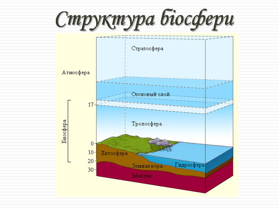 Презентація на тему «Біосфера» (варіант 11) - Слайд #3