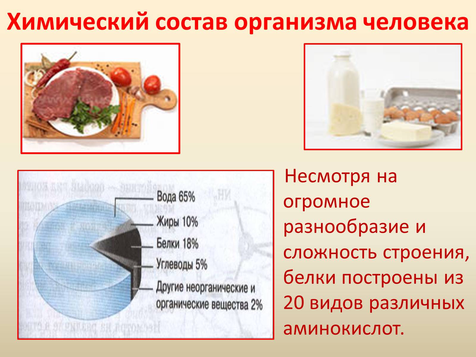 Химический состав и свойства белков. Химический состав организма человека. Химический состав тела. Химический состав белков. Химический состав тела человека.