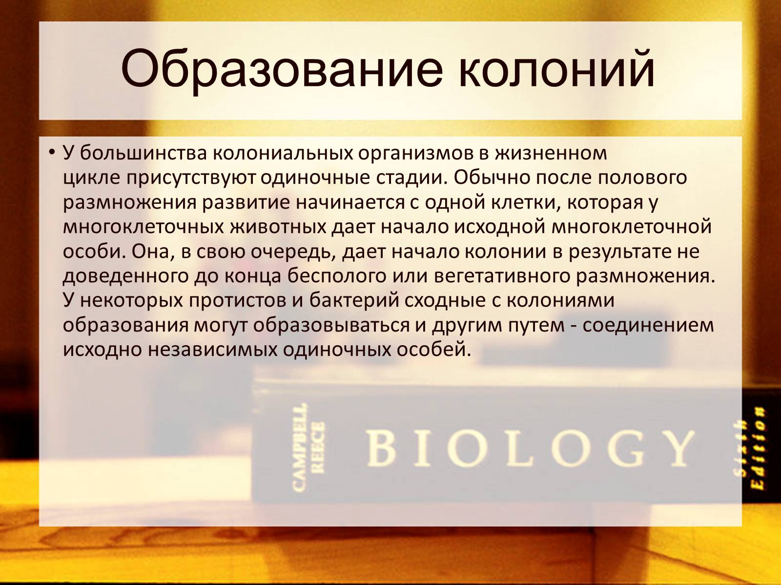 Образование колоний. Образуют колонии. Образование колонии в биологии. Преимущество колониального организма. Образование в колонии.