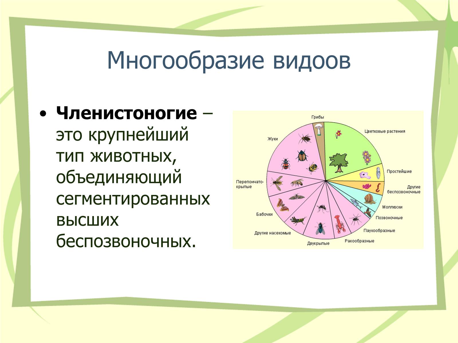 Презентація на тему «Членистоногие» - Слайд #2