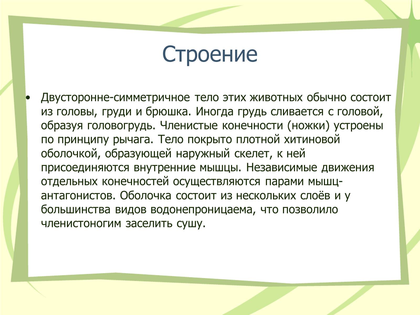 Презентація на тему «Членистоногие» - Слайд #3