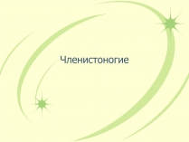 Презентація на тему «Членистоногие»