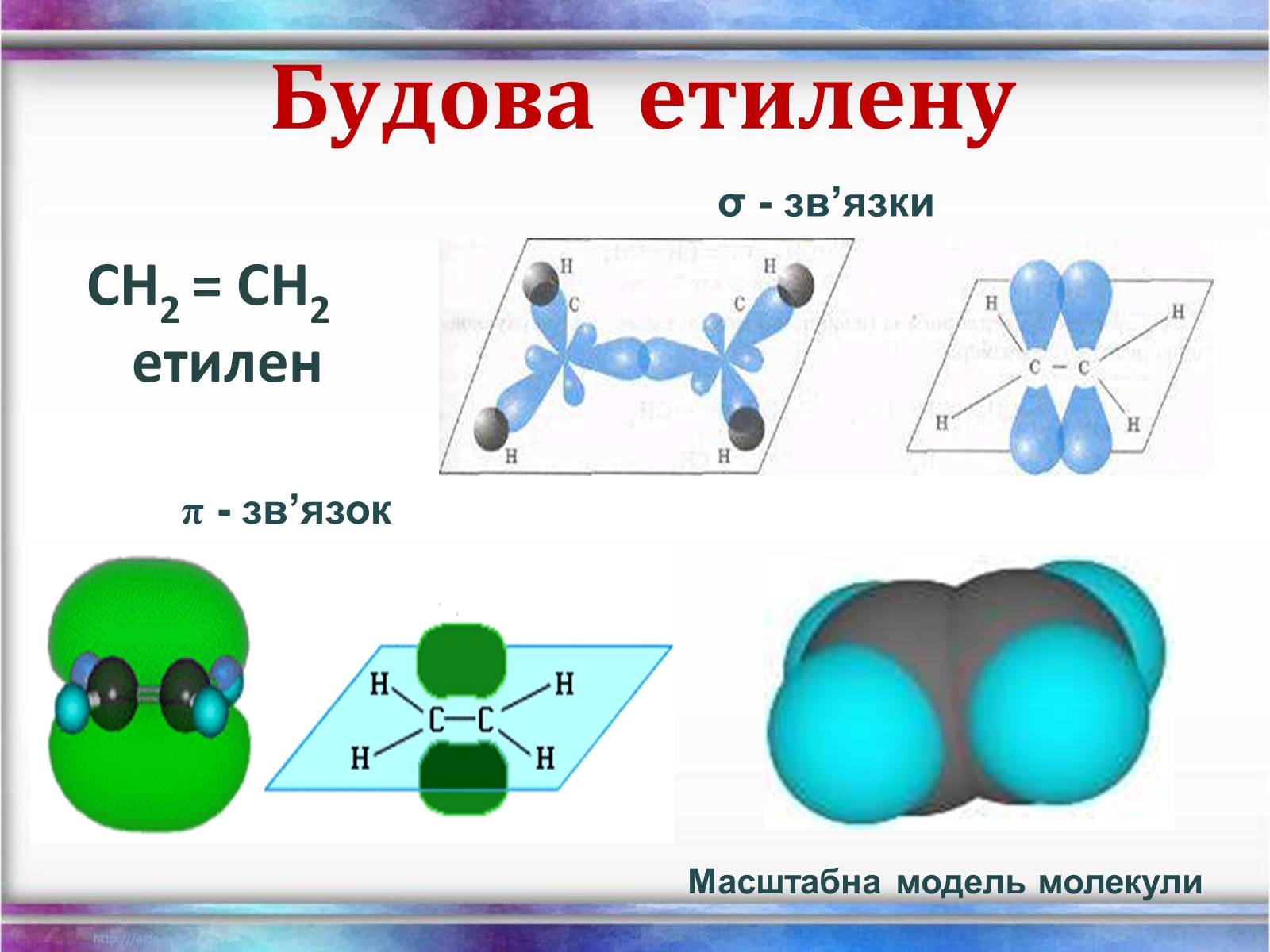 Презентація на тему «Вуглеводи як компоненти їжі, їх роль у житті людини» (варіант 26) - Слайд #8