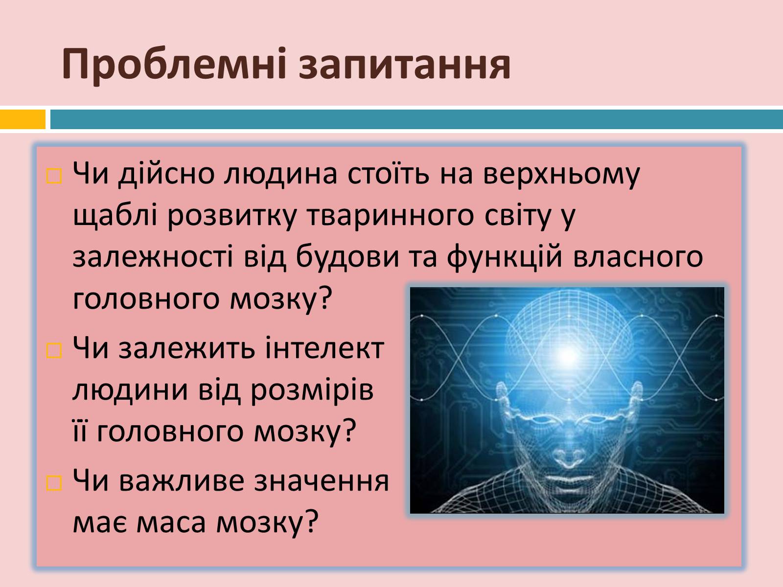 Презентація на тему «Головний мозок» (варіант 2) - Слайд #3