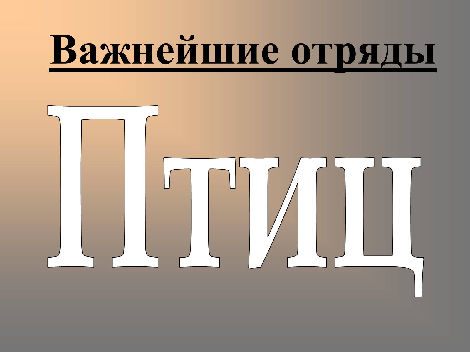 Презентація на тему «Важнейшие отряды птиц» - Слайд #1