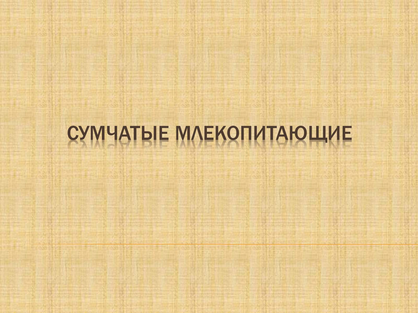 Презентація на тему «Сумчатые Млекопитающие» - Слайд #1