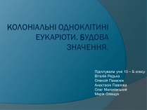 Презентація на тему «Колоніальні одноклітині еукаріоти. Будова значення»