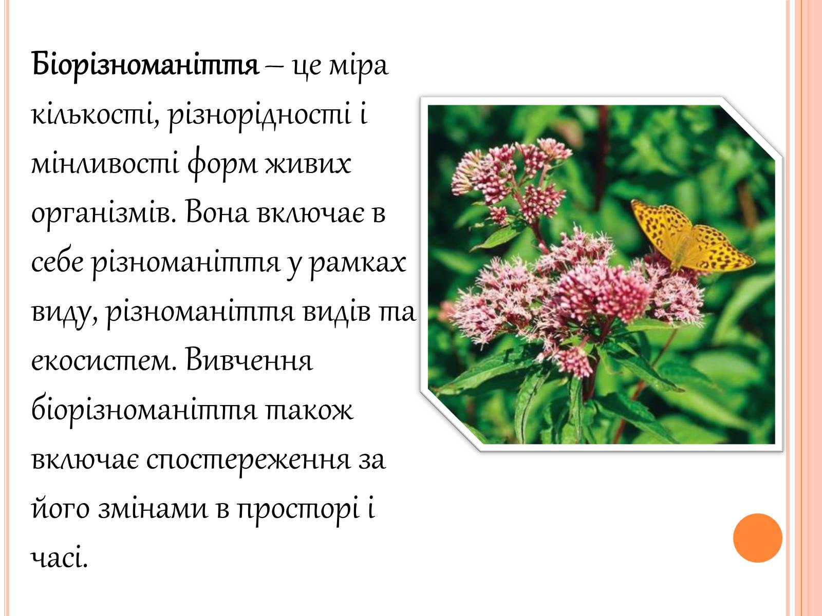 Презентація на тему «Біорізноманіття» (варіант 5) - Слайд #2