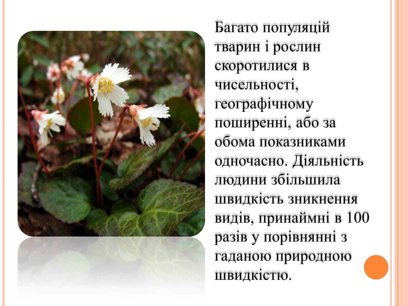 Презентація на тему «Біорізноманіття» (варіант 5) - Слайд #7