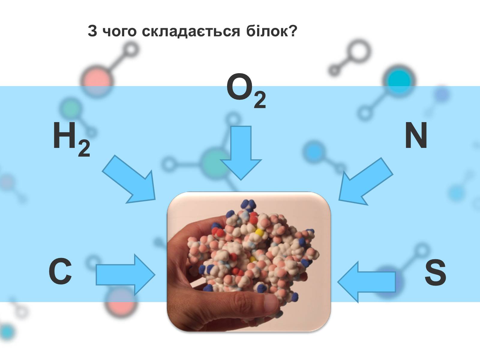 Белки кислород. Из чего состоит белок. Белки состоят из. Белкиы из чего состоят. Из чего состоит белок химия.