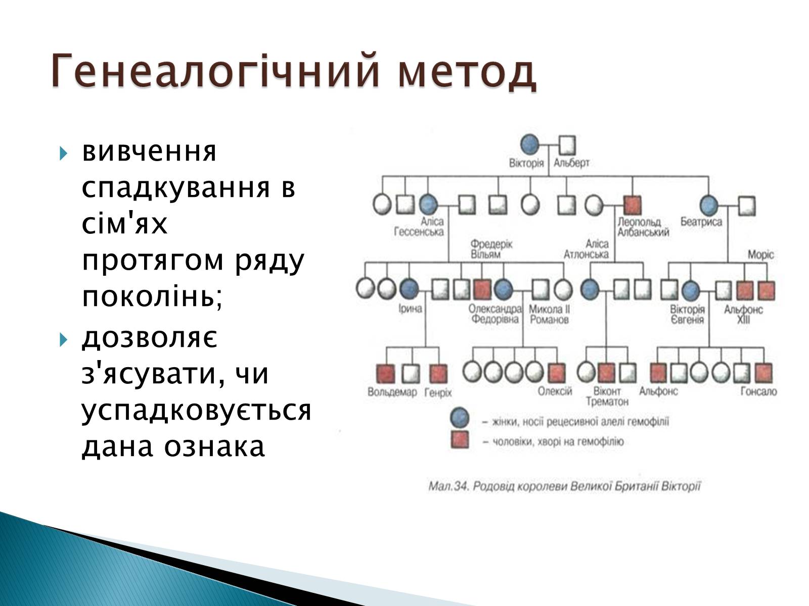 Презентація на тему «Генетика» (варіант 7) - Слайд #2