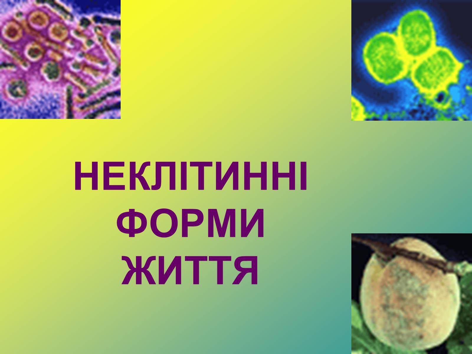 Презентація на тему «Віруси» (варіант 5) - Слайд #1