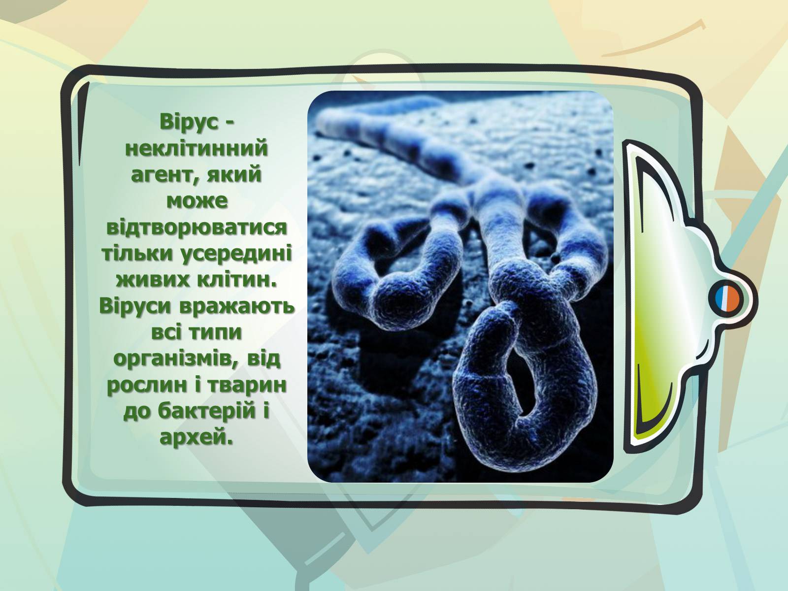 Презентація на тему «Парентеральні вірусні інфекції» - Слайд #2