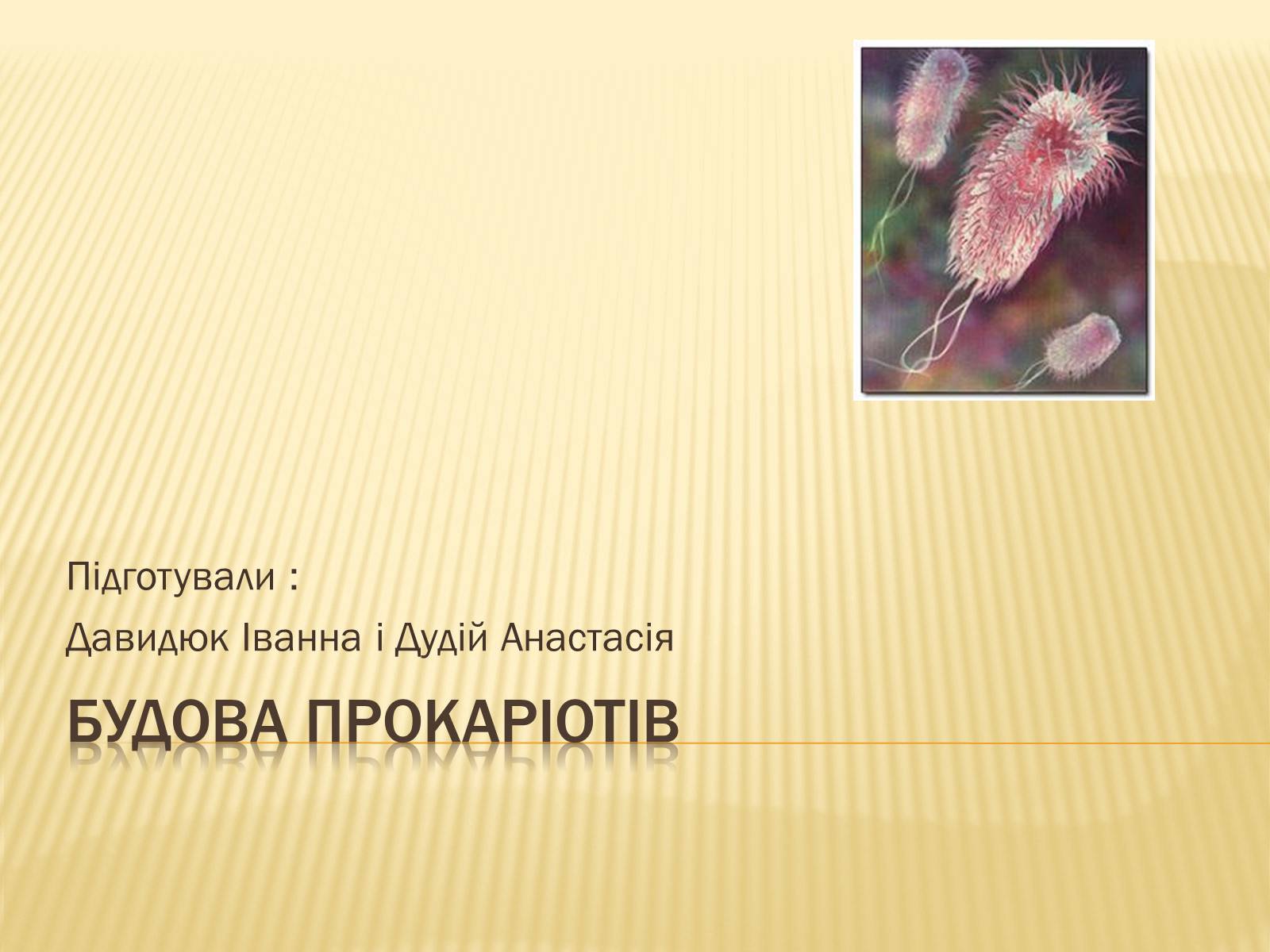 Презентація на тему «Будова прокаріотів» (варіант 1) - Слайд #1