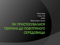 Презентація на тему «Як пристосувалися тварини до повітряного середовища»