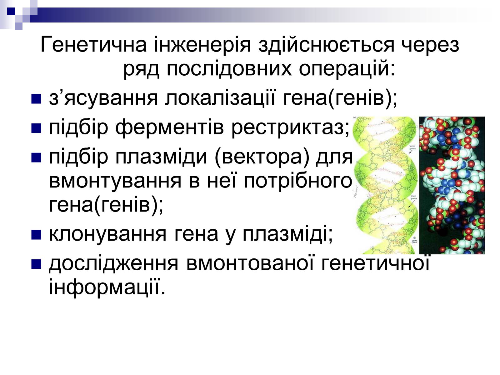 Презентація на тему «Генетична інженерія» (варіант 2) - Слайд #9