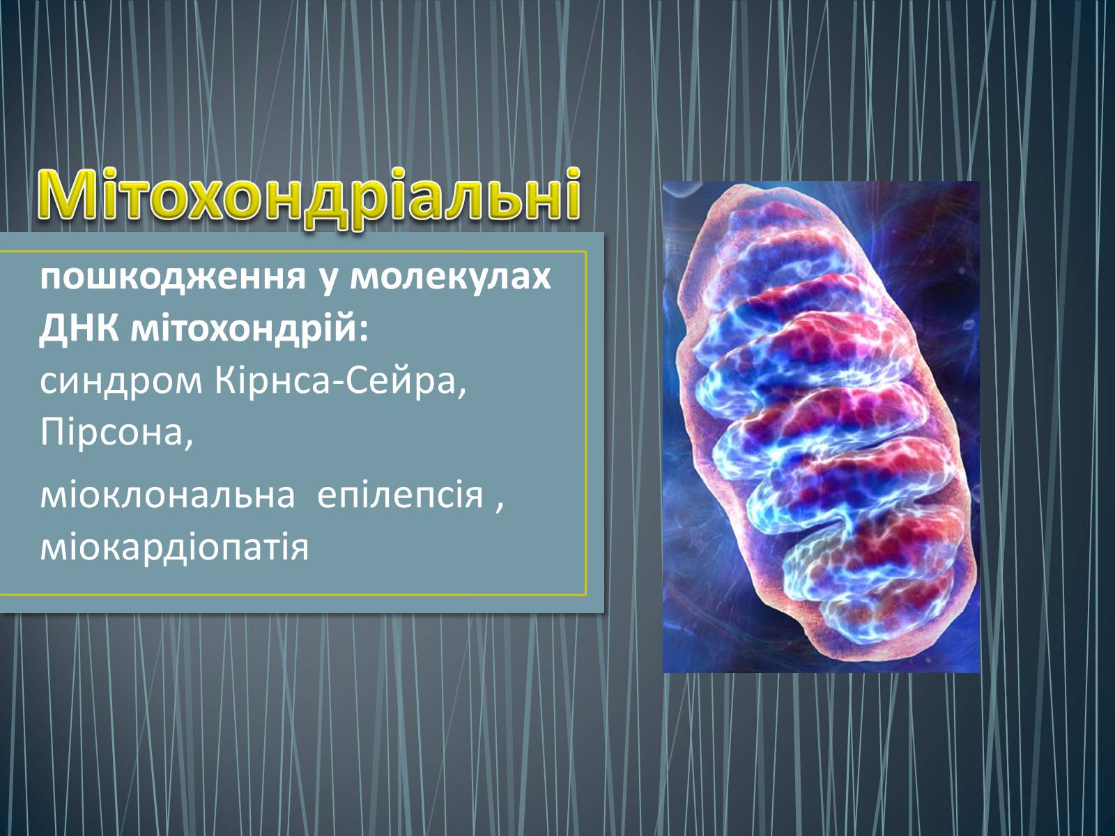 Презентація на тему «Типи генетичних хвороб людини» (варіант 1) - Слайд #16