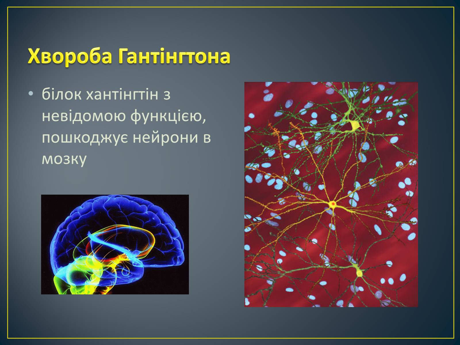 Презентація на тему «Типи генетичних хвороб людини» (варіант 1) - Слайд #5