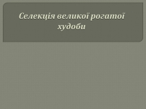 Презентація на тему «Селекція великої рогатої худоби»