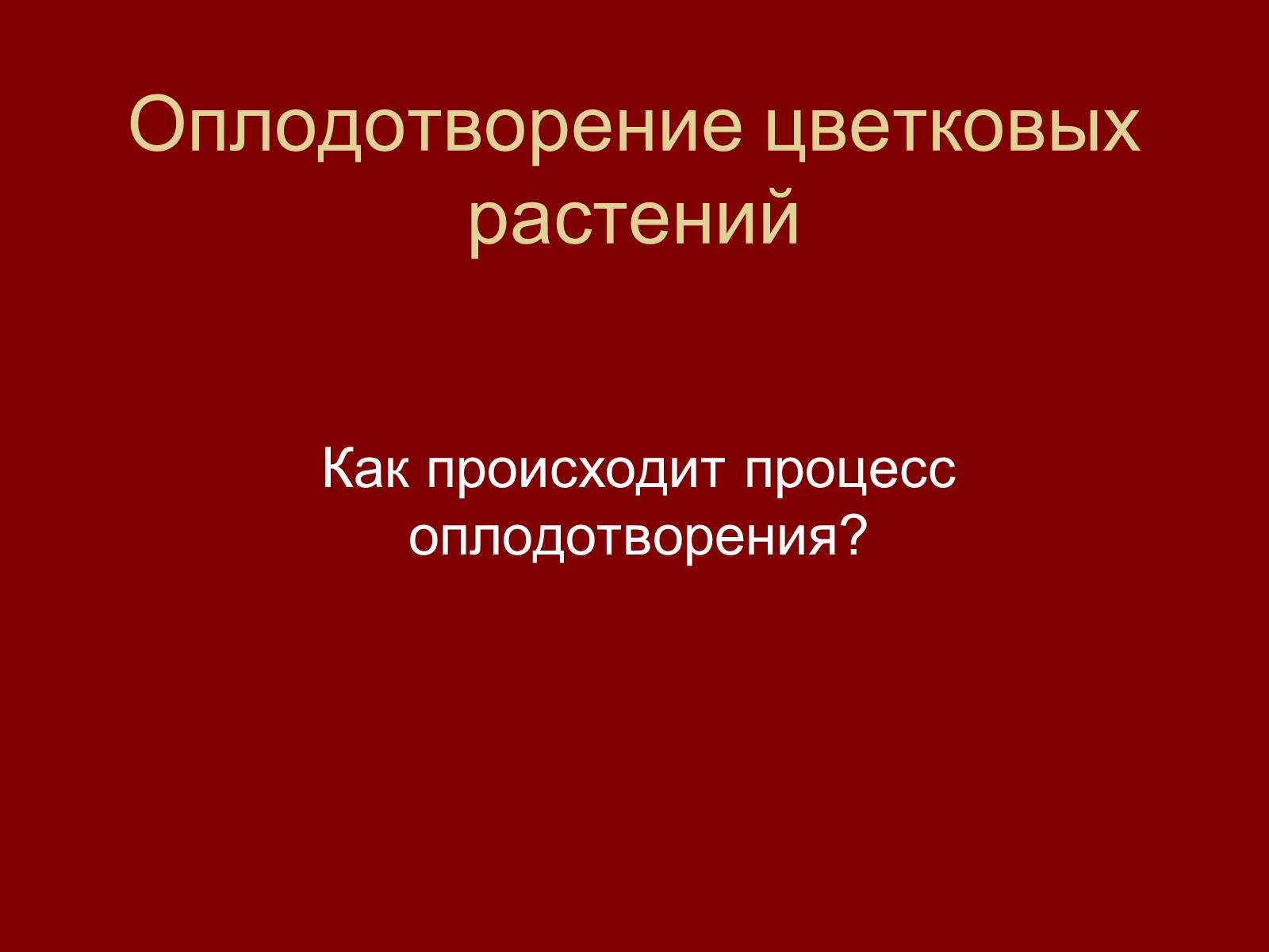 Презентація на тему «Оплодотворение цветковых растений» - Слайд #2