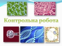 Презентація на тему «Контрольна робота»