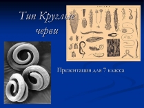 Презентація на тему «Тип Круглые черви» (варіант 1)