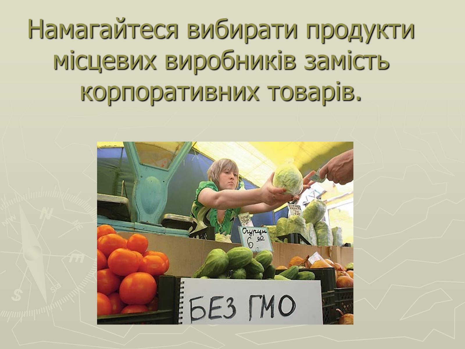 Презентація на тему «Генетично модифіковані організми» (варіант 4) - Слайд #11