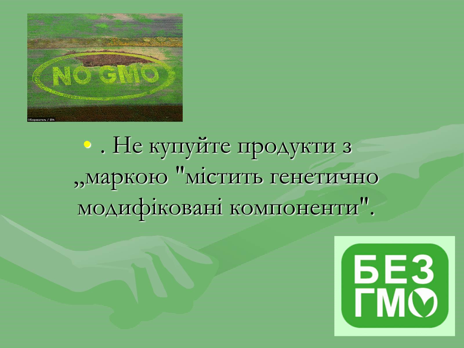 Презентація на тему «Генетично модифіковані організми» (варіант 4) - Слайд #9