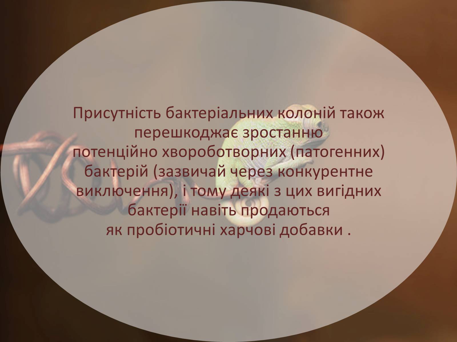 Презентація на тему «Шляхи поширення бактеріальних захворювань» - Слайд #7