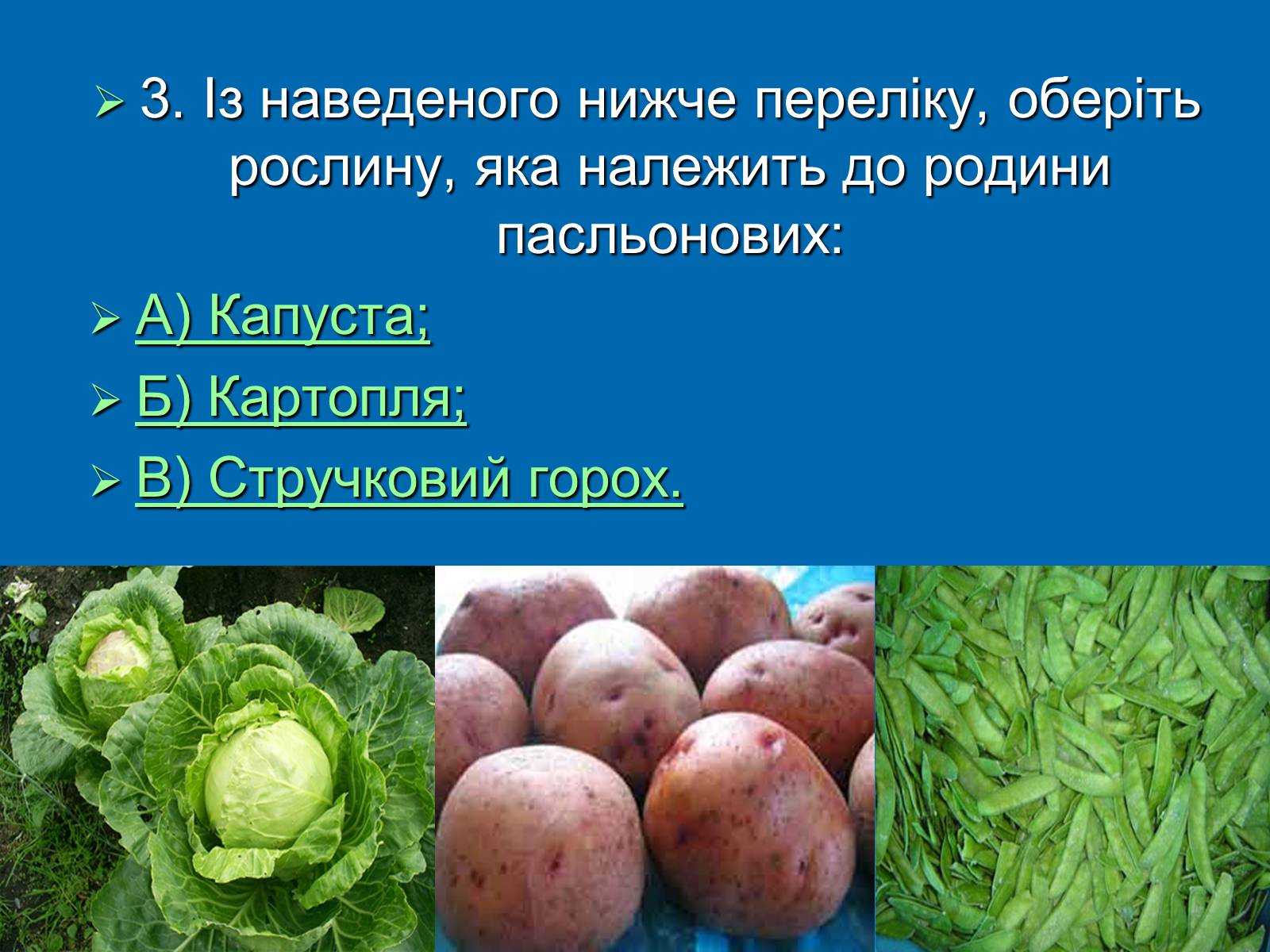 Презентація на тему «Біологія» (варіант 3) - Слайд #4