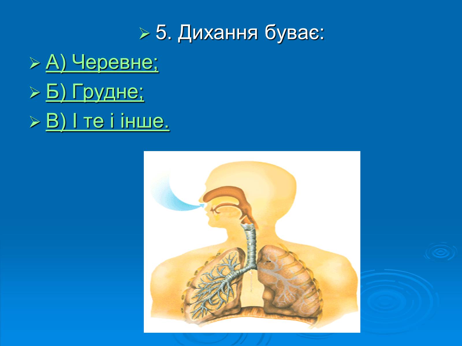 Презентація на тему «Біологія» (варіант 3) - Слайд #6