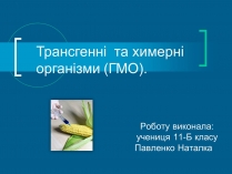 Презентація на тему «Трансгенні організми» (варіант 3)