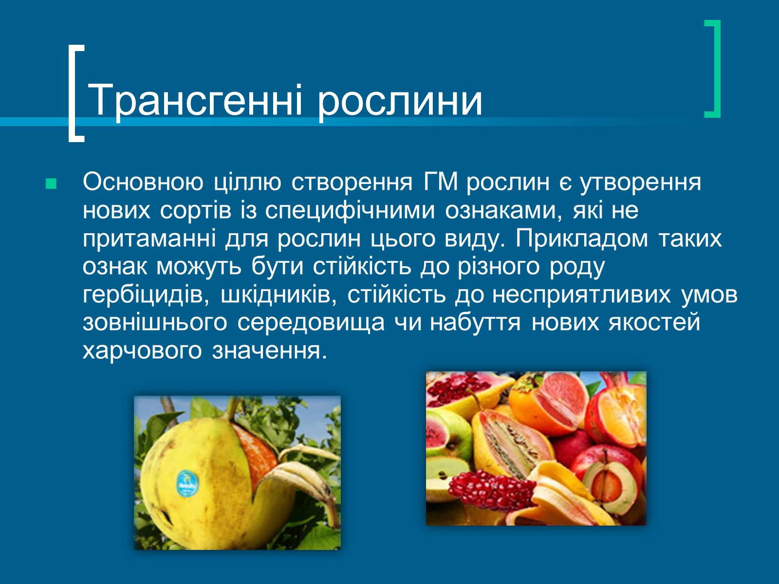 Презентація на тему «Трансгенні організми» (варіант 3) - Слайд #8