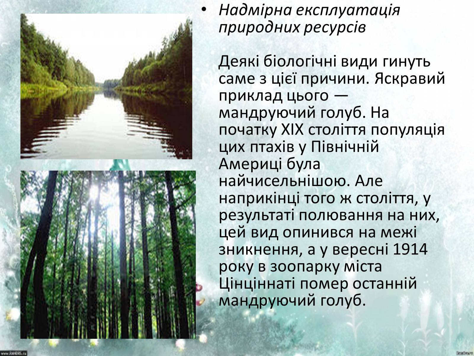 Презентація на тему «Причини деградації біорізноманіття» - Слайд #4