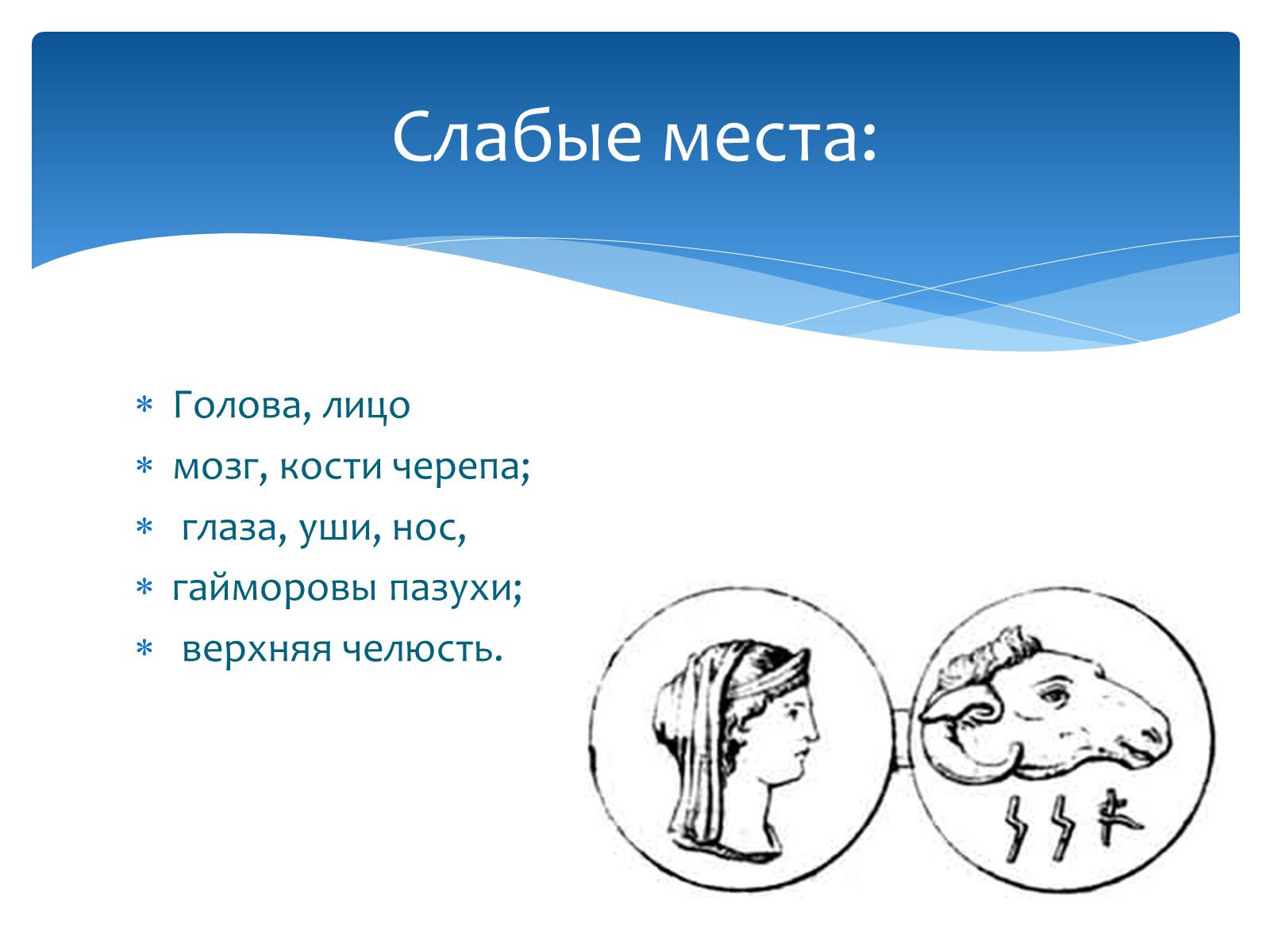 Презентація на тему «Здоровье по зодиакам» - Слайд #5