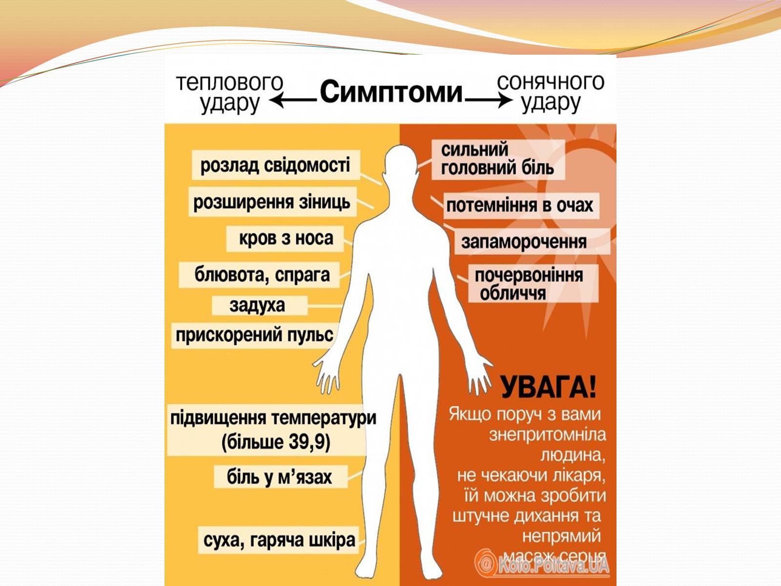 Презентація на тему «Перша медична допомога при теплових і сонячних ударах» - Слайд #3