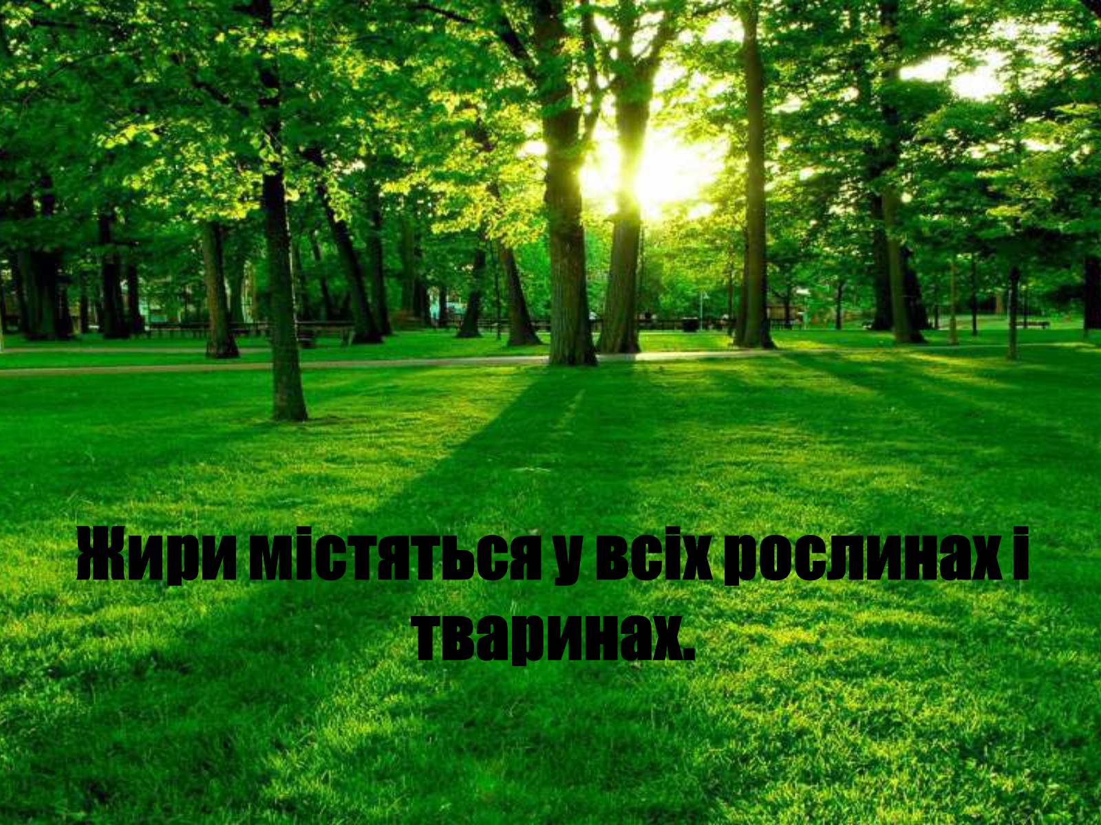 Презентація на тему «Жири, склад жирів, їх утворення» (варіант 1) - Слайд #24