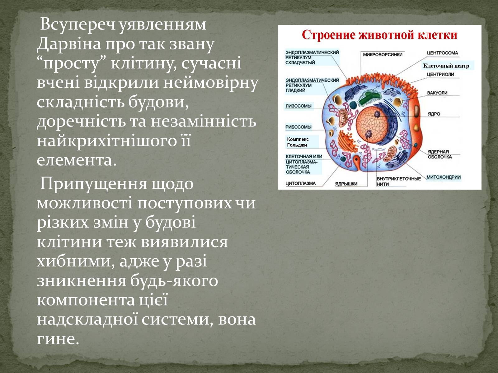 Презентація на тему «Еволюція життя. Науковий факт чи наукова фантастика?» (варіант 1) - Слайд #7