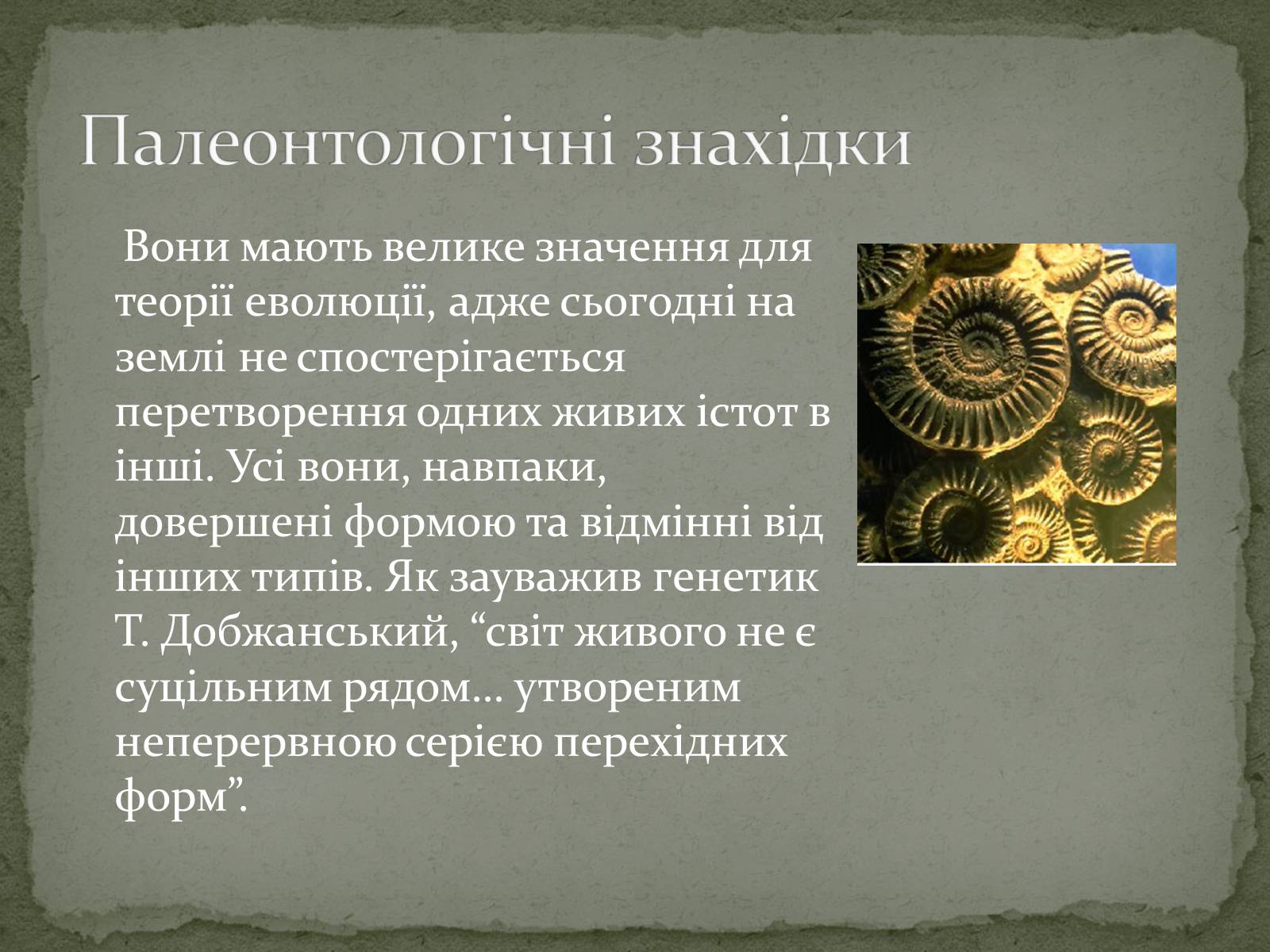 Презентація на тему «Еволюція життя. Науковий факт чи наукова фантастика?» (варіант 1) - Слайд #8